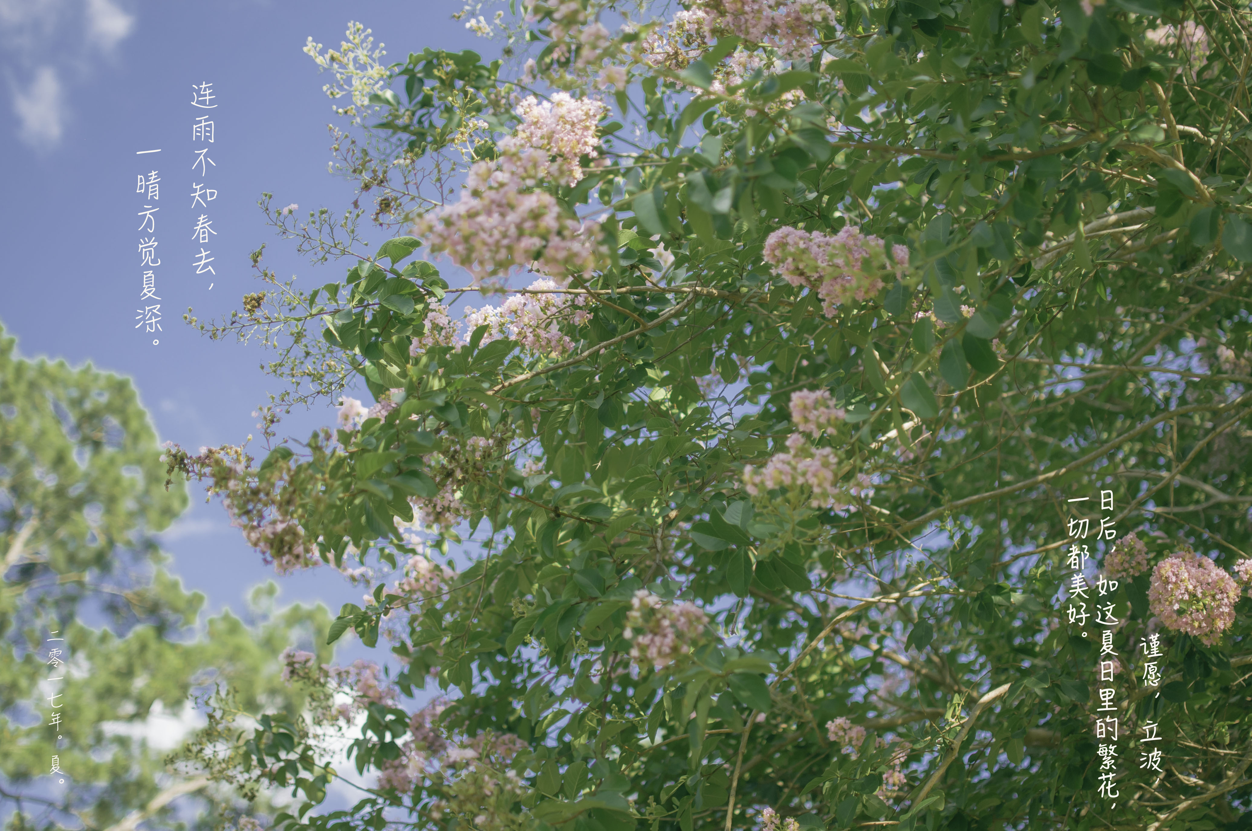 A Portrait Session on FSU Campus | 立波的博士毕业照